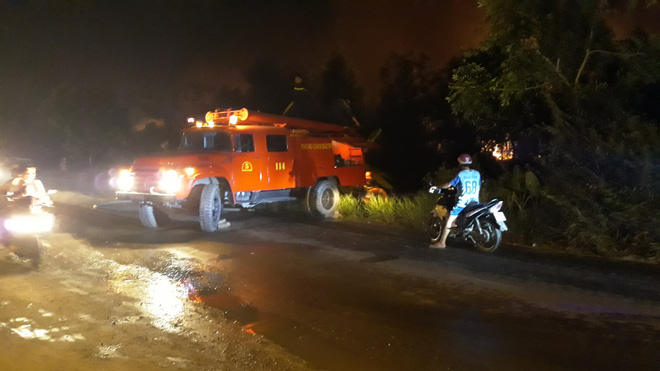 Khu rừng tràm ở Bình Chánh cháy ngùn ngụt trong đêm